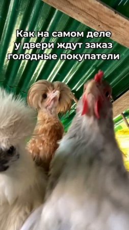 Курьеры ToпGo, ваш выход! Не заставляйте их ждать! 😅

#ТопGo_работа
@topgosuperteam