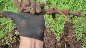 ищу металлолом на поле