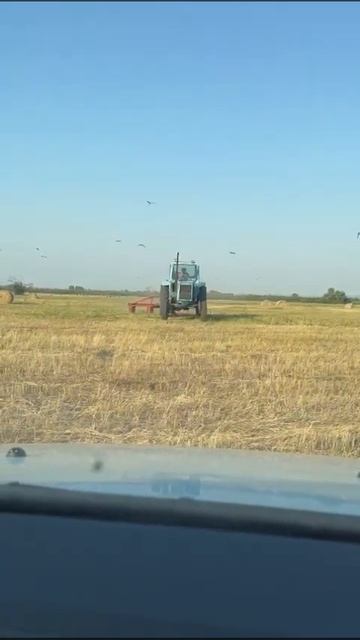 мтз 50 косилка 1.65 виракс смотреть онлайн