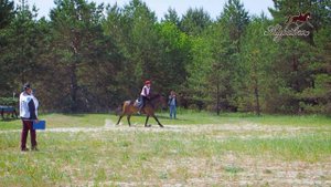 Соревнования по конному троеборью за кубок "Брянской области" 2023г.