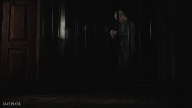 ЕЕ ПУГАЕТ АБСОЛЮТНО ВСЕ | Silent Hill 2 Remake смотреть онлайн