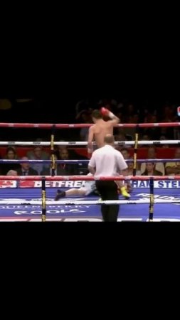 Лучшие нокауты Подпишись и ставь лайк #ufc #mma #youtube #sports #tiktok #shortsvideo #russia #box