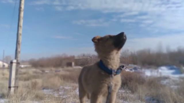 ей говорят звезда смотреть онлайн