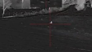 Битва с кабаном в ночи: тепловизор, три выстрела и меткий финал на 220 метров