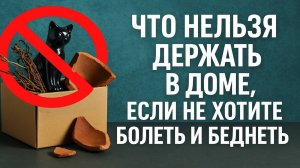 Что нельзя держать дома, если хотите жить здорово и богато — важные приметы и советы