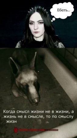 Волк не тигр в Аутласт 🐕