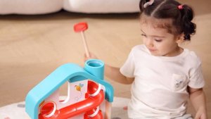 Домик с ксилофоном серии "Горка для шариков"
Hape