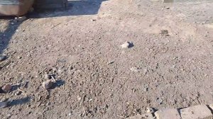 3 июня, обо всем по чуть чуть