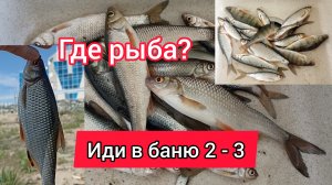 Где рыба? Иди в баню 2 - 3