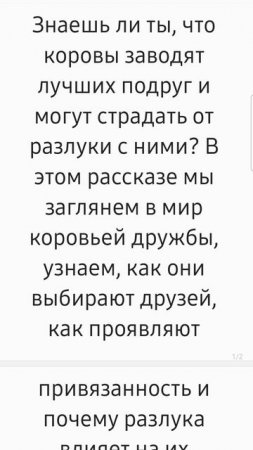 Мир взаимодействия коров уже в следующем видео! Факт за фактом