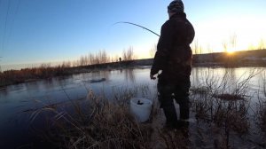 Удочка в дугу леска трещит!!! На этой микро речке язь, сорога клюет дуром из под ног в куширях!!!