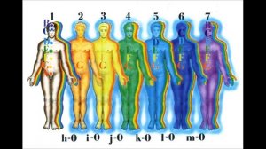 7 тел человека что они означают