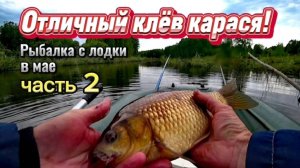 Отличный клёв карася! Поймал "кабанчика"!  Часть 2.