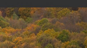 Практическо ревю на Sigma 70-200mm F2.8 DG DN OS | Sports