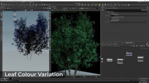 H-05_foliage_shading