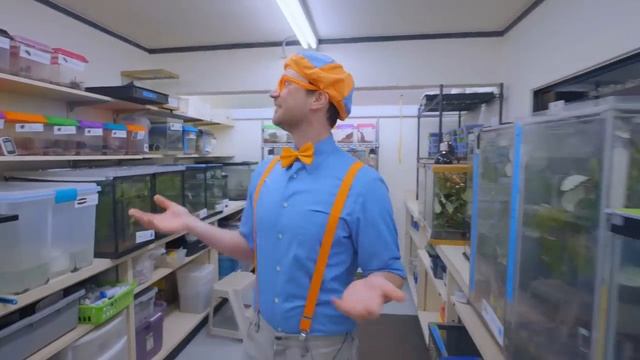 Блиппи (Blippi) - Считаем Воздушные Шары   Обучающие песни для детей   Blippi Russian