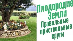 Правильные приствольные круги.