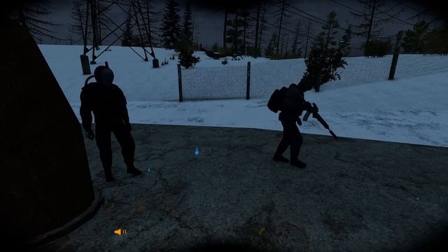Я ДЕЛАЛА ЭТО ПО ПРИКАЗУ | DayZ Stalker RP