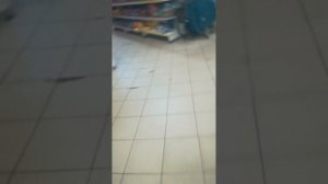 вчерашний поход в магазин:)