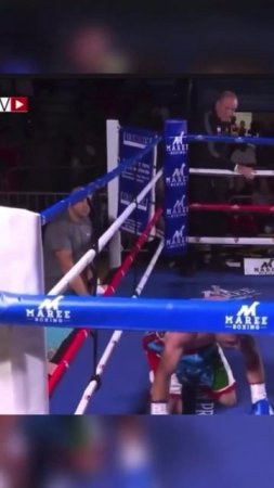 Лучшие нокауты Подпишись и ставь лайк #ufc #mma #youtube #sports #tiktok #shortsvideo #russia #box