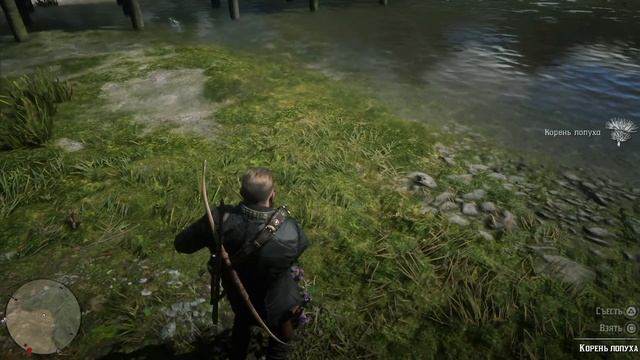 Корень лопуха (burdock root) Red Dead Redemption 2 смотреть онлайн