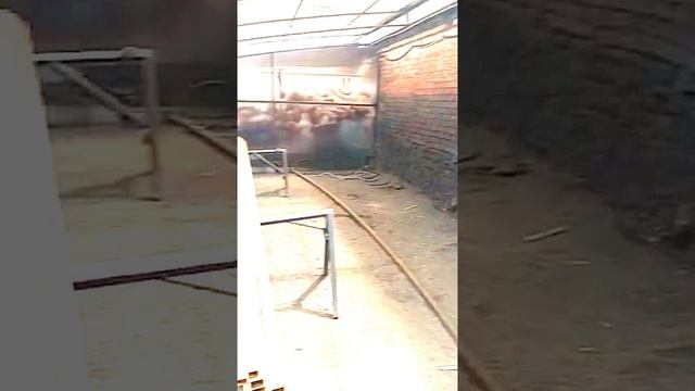 Sтальпро23 Краснодар +79282150909 stalpro23.ru