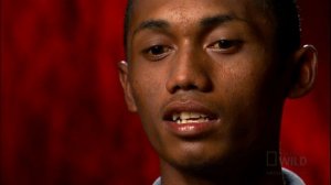 Defensive Dragons | Nat Geo Wild