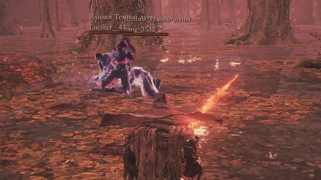 Этикет в PvP Dark Souls 3 наглядно смотреть онлайн