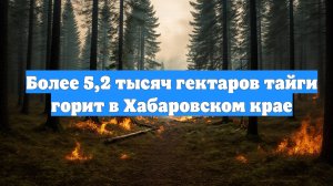 Более 5,2 тысяч гектаров тайги горит в Хабаровском крае