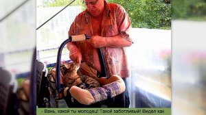 КОТ ЧЕЛОВЕКУ ДРУГ, ХОЗЯИН И ЦАРЬ...