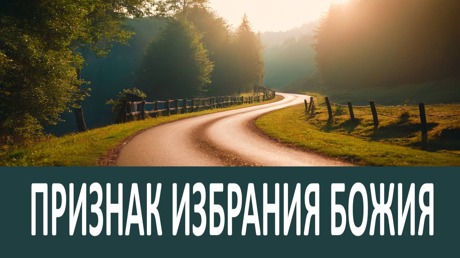 Наивернейшим ПРИЗНАКОМ ИЗБРАНИЯ БОЖИЯ и любви Божией к человеку является…Никон Воробьев