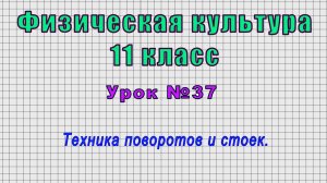 Физическая культура 11 класс (Урок№37 - Техника поворотов и стоек.)