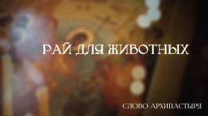 Слово Архипастыря: Рай для животных