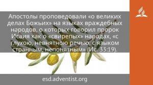4 июня 2025. Пятидесятница. Под сенью благодати _ Адвентисты