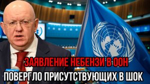 «Можете не рассчитывать!» — Небензя ШОКИРОВАЛ всех в ООН этим заявлением