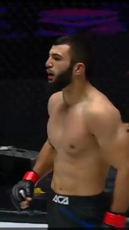 Лучшие нокауты Подпишись и ставь лайк #ufc #mma #youtube #sports #tiktok #shortsvideo #russia #box