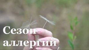 В ЛНР в разгаре сезон аллергий