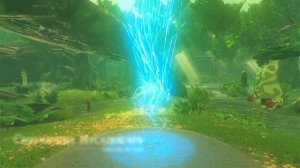 меч сокрушитель зла где найти totk #zeldatotk #totk #зельда #zelda #