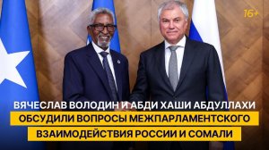 Вячеслав Володин и Абди Хаши Абдуллахи обсудили вопросы межпарламентского взаимодействия РФ и Сомали