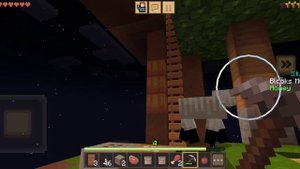 1000033121.mp4