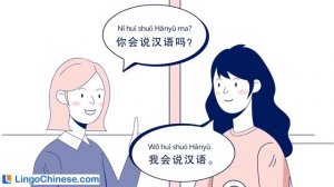 我会说汉语