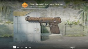 Забираю еженедельный дроп в кс2 [ДЕНЬ 63/365]