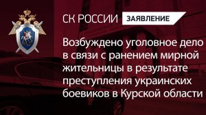Возбуждено уголовное дело в связи с ранением женщины в результате преступления ВСУ в Курской области