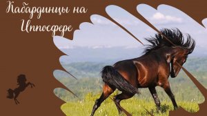 Породный ринг "Созвездие Шагди" на конной выставке Иппосфера