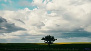 Кадры, обработанные алгоритмами будущего - ваш мозг не поверит! - Youre Onto Me -- Taylor Poe -- 10