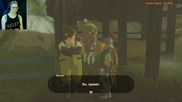 Поехали по допквестам  The Legend of Zelda: Breath of the Wild 16