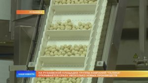 Группа компаний «Талина» запускает новые производства в Рузаевке