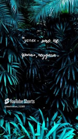 Цитата#193 _Важно мужество_ #2025 #цитаты #мужество #motivation #shorts