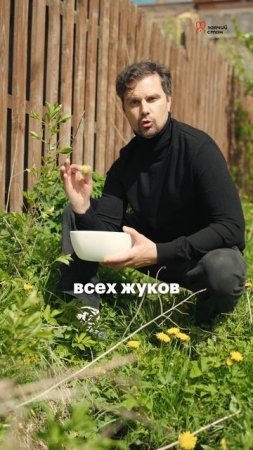Какие планы на дачный отдых? Всё необходимое доставит «Лента» 🌻