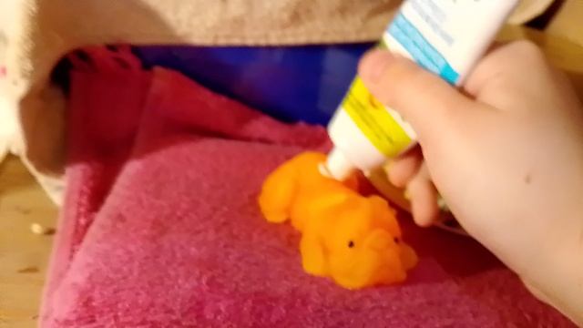 новая собачка! смотреть онлайн